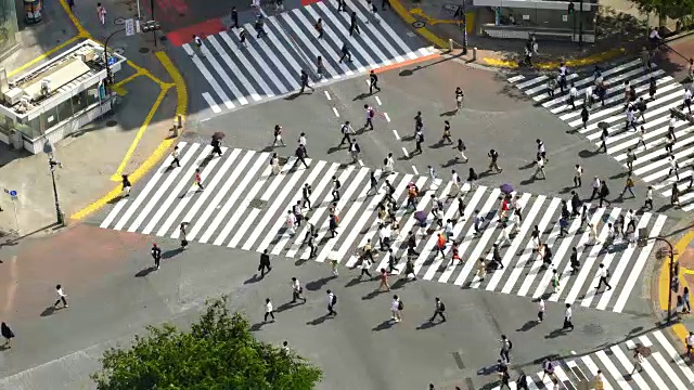 东京涩谷十字路口视频素材