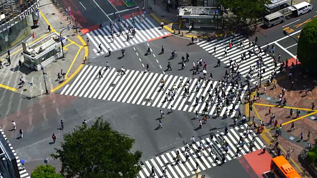 东京涩谷十字路口视频素材