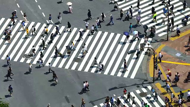 东京涩谷十字路口视频素材