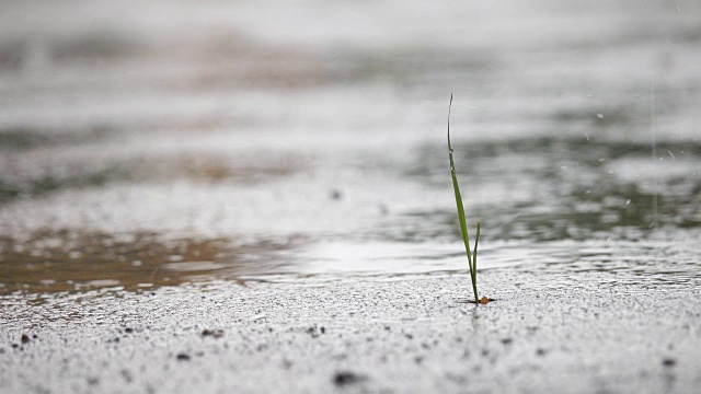 雨滴落在地板上视频素材