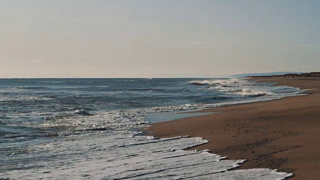 海水的沙岸。浪花白沫，海鸥飞过视频素材