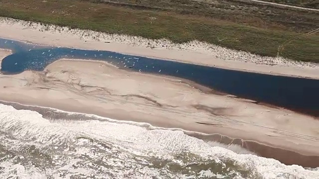 海水淹没了海岸，海鸥成群飞过视频素材