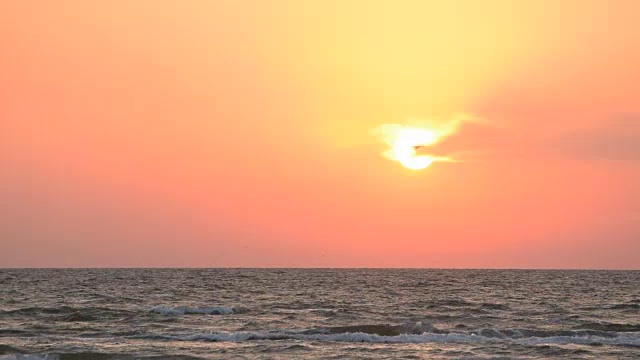 海鸥在海面上冉冉升起的太阳背景上飞翔视频素材