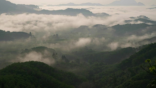 清晨的雾在热带雨林的山上流动视频素材