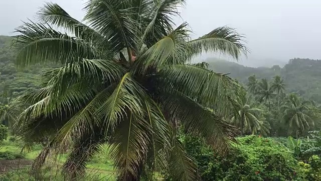 拉罗汤加库克群岛遭遇热带暴雨视频素材