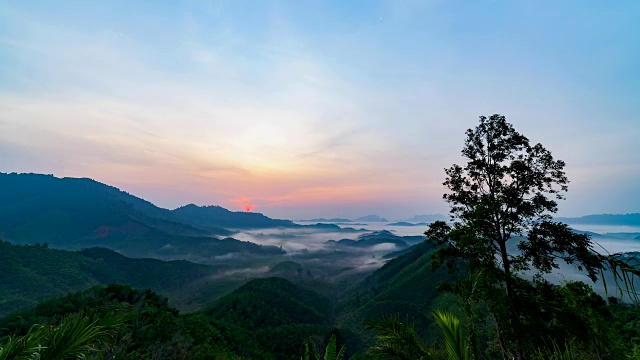 晨雾在山间流淌，热带雨林和美丽的日出风景一览无余视频素材