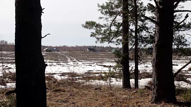 俄罗斯田野附近的森林和俄罗斯农村附近的村庄，春天的时间。视频下载