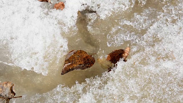 泉水从融雪中涌出视频素材