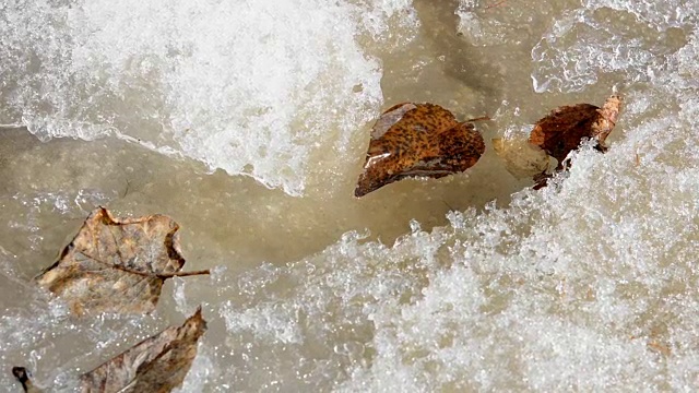 泉水从融雪中涌出视频素材