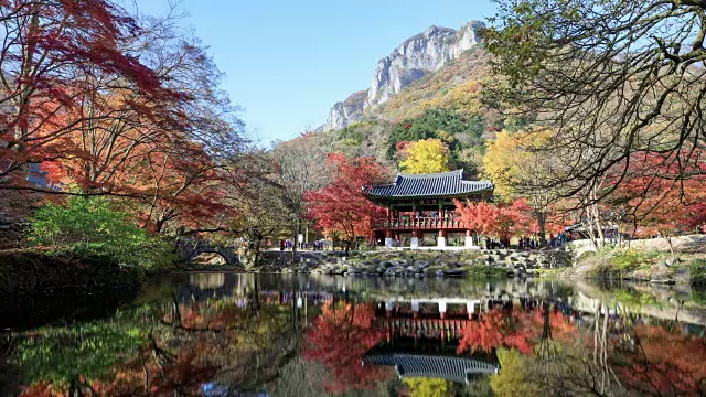 白egyangsa(韩国若溪寺)秋叶景观视频素材