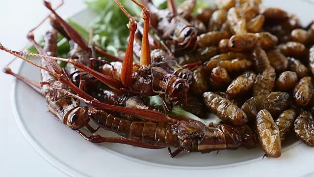 近距离观察盘内的油炸昆虫。富含蛋白质食物视频素材