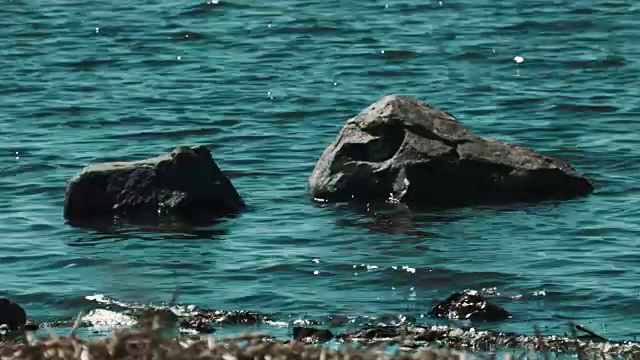 海边的石头在水里，海浪在拍打着视频素材