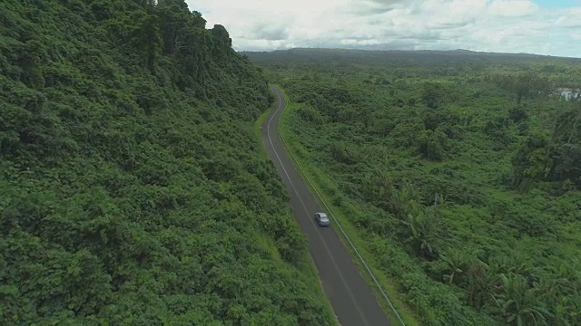 摄影:一辆白色的汽车在空旷的柏油路上行驶，周围是郁郁葱葱的雨林。视频素材