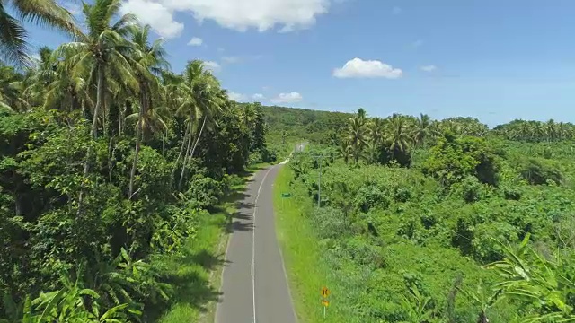 航拍:在完美的日子里，空旷的柏油路周围环绕着令人惊叹的奇异植被。视频素材