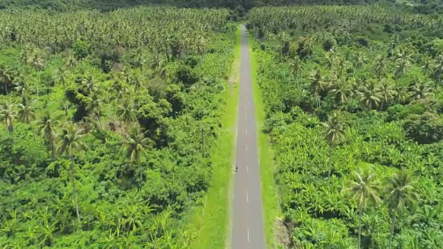 空中摄影:在穿越丛林的路上飞过行人和汽车。视频素材