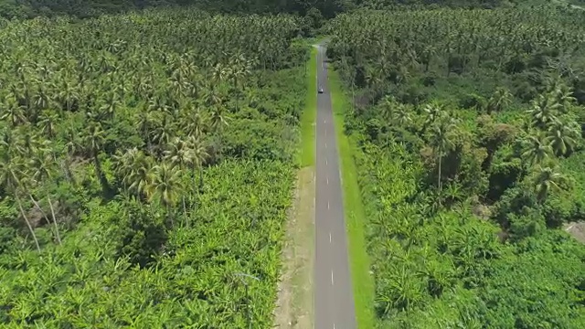 天线:在异国情调的岛屿上，孤独的汽车和电线沿着空旷的道路移动。视频素材