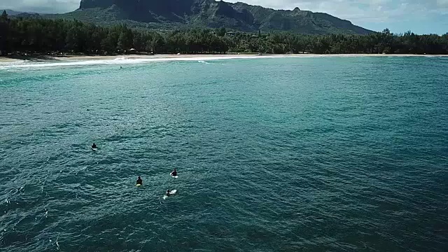 在夏威夷岛湾水上低空飞行视频素材