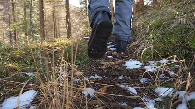 在一个阳光明媚的日子里，一个陌生的男性游客走在美丽的山间松林里。早春时分，年轻的徒步旅行者在松林小道上散步。旅行的概念。后视图近景慢动作视频素材