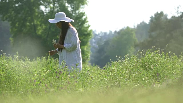 美丽的年轻女子在大自然中摘花的肖像视频素材