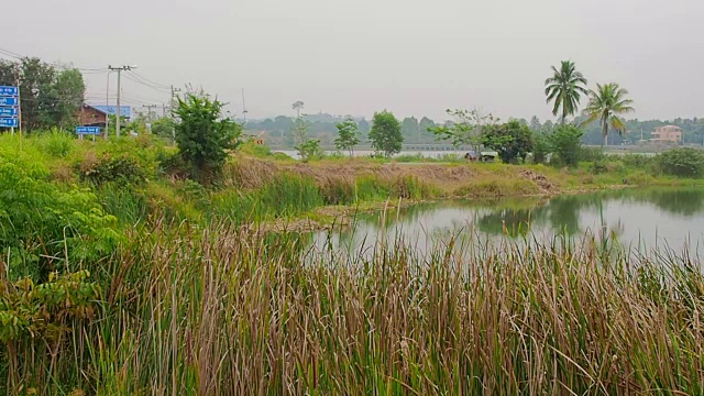 泰国呵叻府林披披隆水库景观视频素材