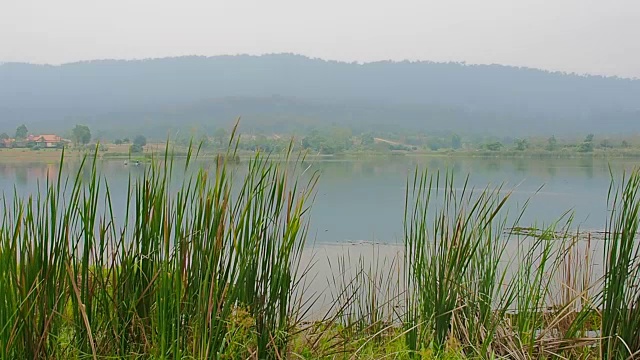 泰国呵叻府林披披隆水库景观视频素材