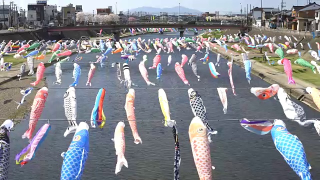 鲤鱼等浮电缆视频素材