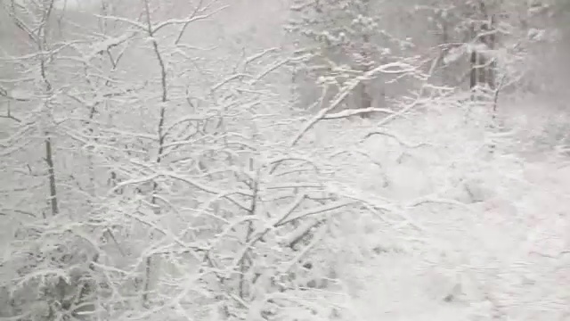 在冬天的雪中开车视频素材