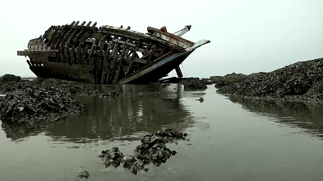 日落海难，多莉被拍到。视频素材