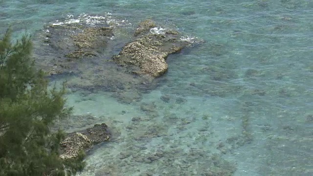 日本东京小笠原海域和暗礁视频素材