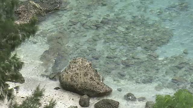 日本东京小笠原岛的海洋和岩石视频素材