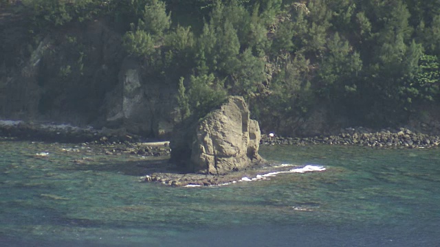 日本大泽原市阿尼吉马岛视频素材