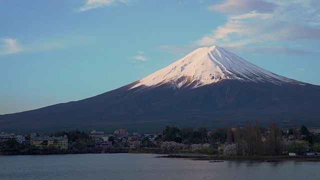 富士山和川口湖的樱花视频下载