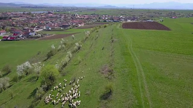 一架无人机飞过罗特巴夫县(Brașov County Romania)的一条树木小巷视频素材