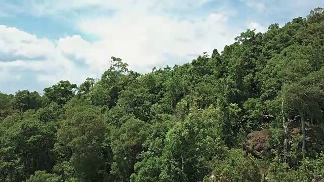 俯瞰雨林的鸟瞰图。从高处俯瞰树木的美景。风景优美的天堂景观4K。视频素材