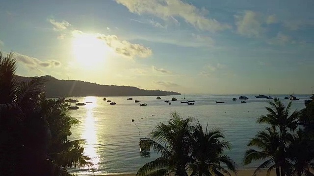 航拍:飞过一个在无边泳池里放松的女人，欣赏迷人的夜景视频素材