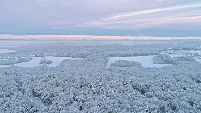 斯洛文尼亚普雷克穆里耶，田园诗般的白雪覆盖的树梢和乡村景观视频素材