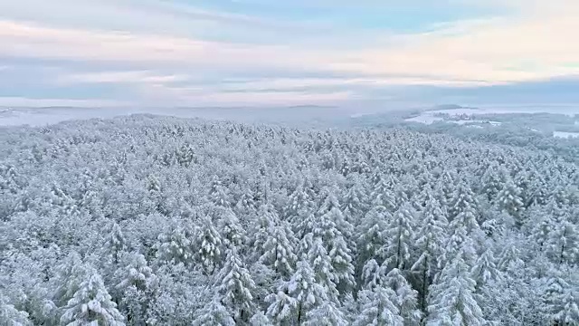 斯洛文尼亚普雷克穆里耶，田园诗般的白雪覆盖的树梢和乡村景观视频素材