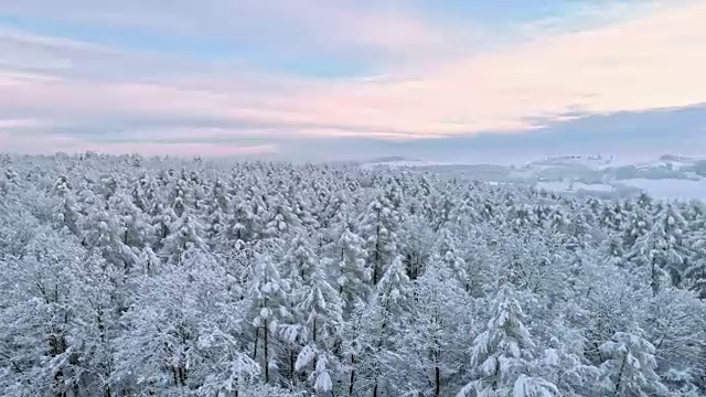 斯洛文尼亚普雷克穆里耶，田园诗般的白雪覆盖的树梢和乡村景观视频素材