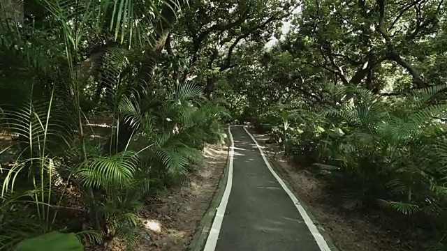 热带雨林公园-自行车道。没有人，斯坦尼康镜头视频素材