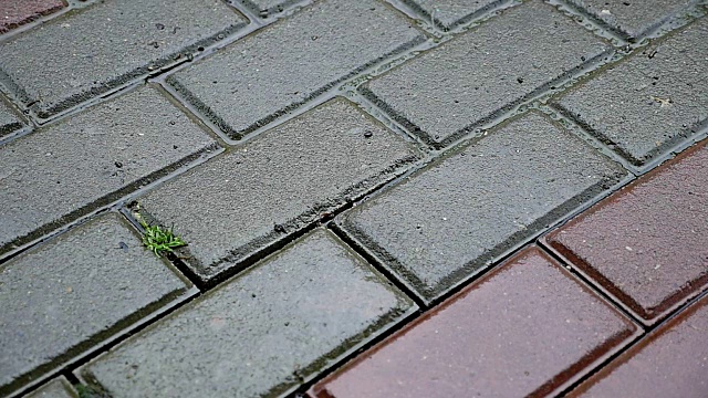 雨滴落在街上的瓷砖上视频素材