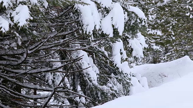 白雪覆盖的前院视频素材