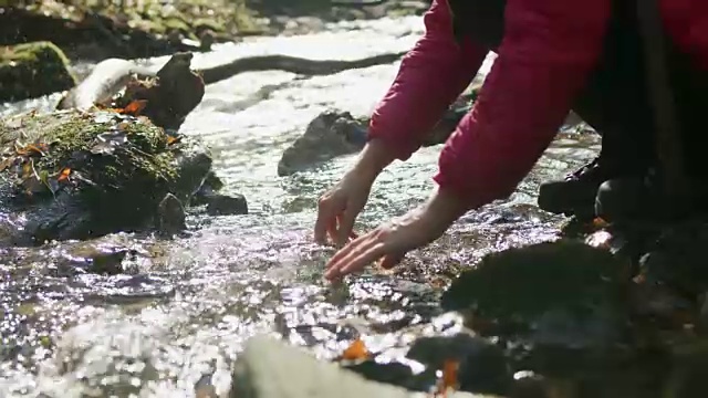 女士徒步旅行，弯下腰从阳光下流淌的小溪中舀水视频素材