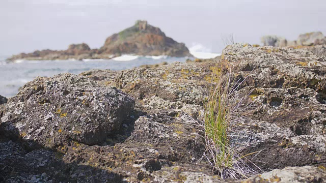 澳大利亚海岸景观-含羞草岩视频素材