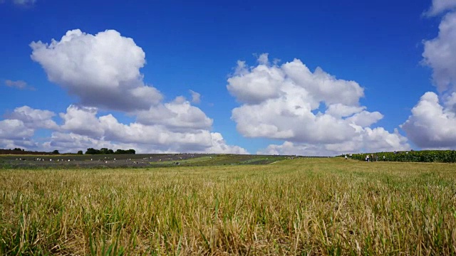 田野草天空景观视频素材