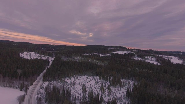 森林景观冬季飞行视频素材