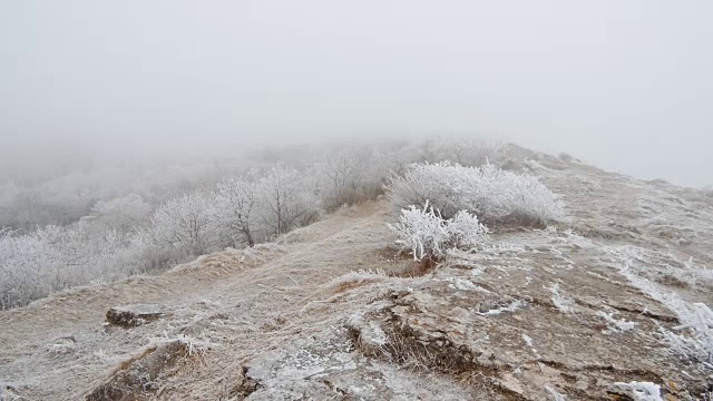 一阵强风吹向山顶。岩石和草地上覆盖着白霜视频素材