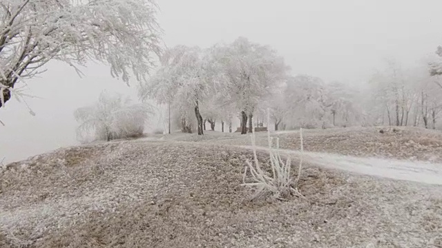 超现实主义的空地。天气多风，树上结满了白霜视频素材