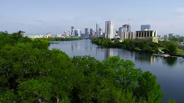 在美国德克萨斯州奥斯汀镇湖科罗拉多河旁的树顶上视频素材