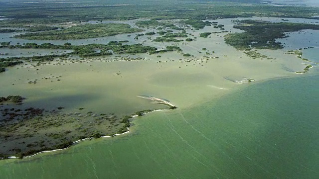 墨西哥沿海湿地的生物服务视频素材