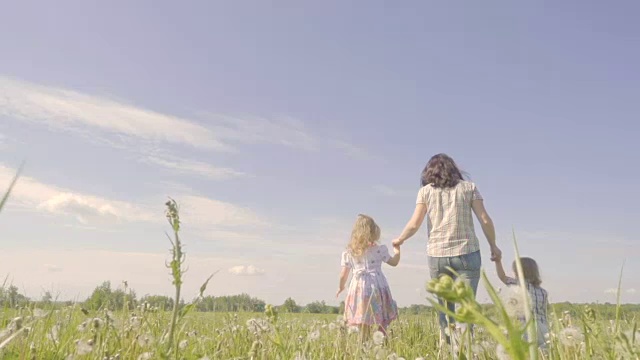 一位母亲带着她的儿子和女儿在田里散步。在新鲜空气中散步。夏天阳光灿烂的日子。缓慢的运动。视频素材